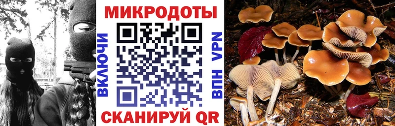 Псилоцибиновые грибы GOLDEN TEACHER  цена наркотик  Коммунар 